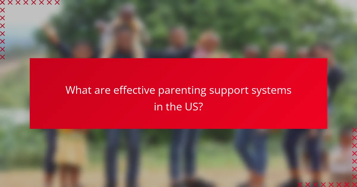 What are effective parenting support systems in the US?