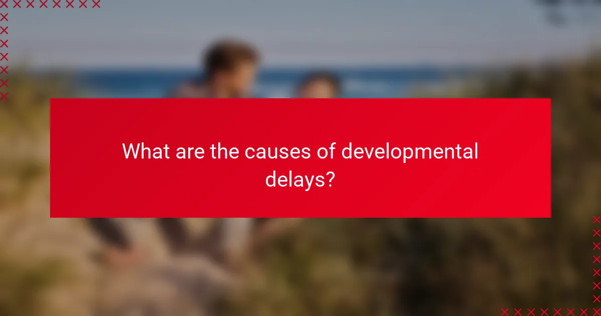 What are the causes of developmental delays?