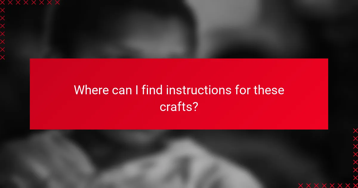 Where can I find instructions for these crafts?